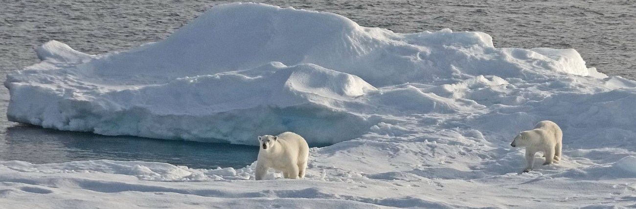 Foto: PolarQuest